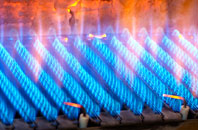 Tan Y Mynydd gas fired boilers